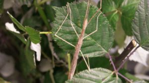 Dieses Bild hat ein leeres Alt-Attribut. Der Dateiname ist IMG_0129-300x168.jpg